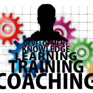 consulting, training, to learn-2170679.jpg